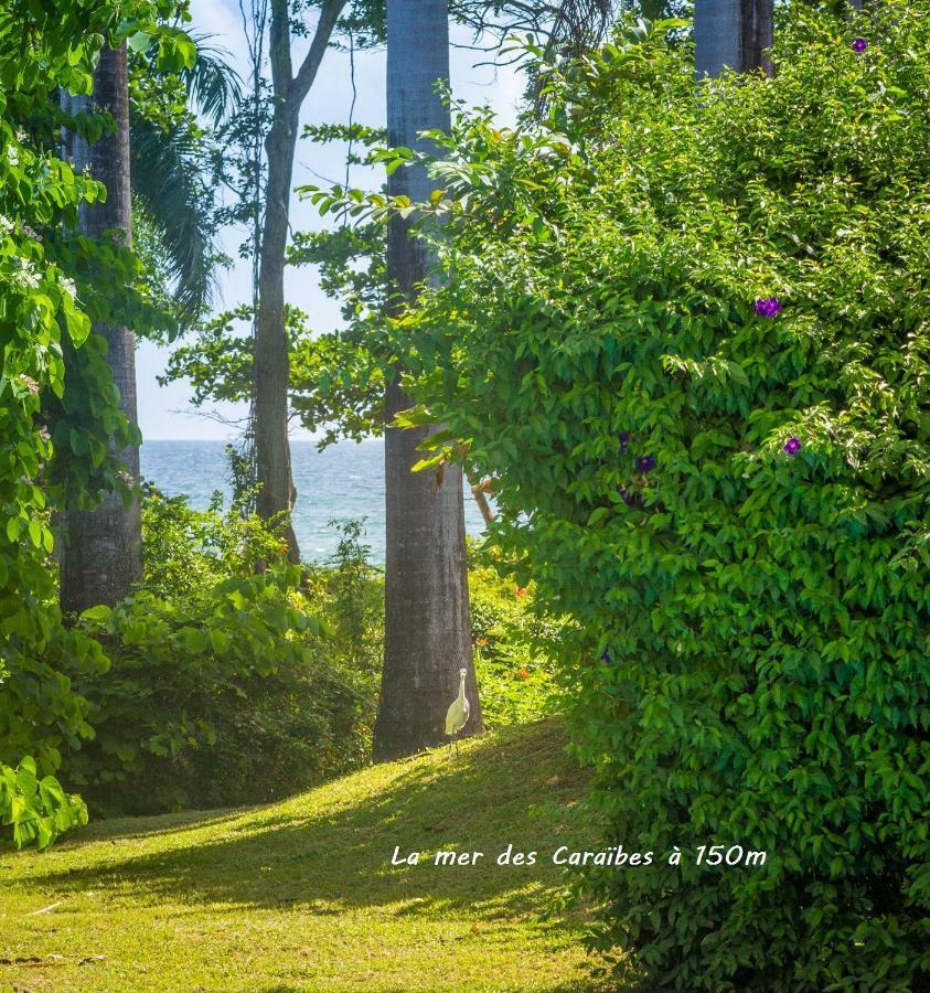 Villa Cezanne 세인트 로즈 외부 사진